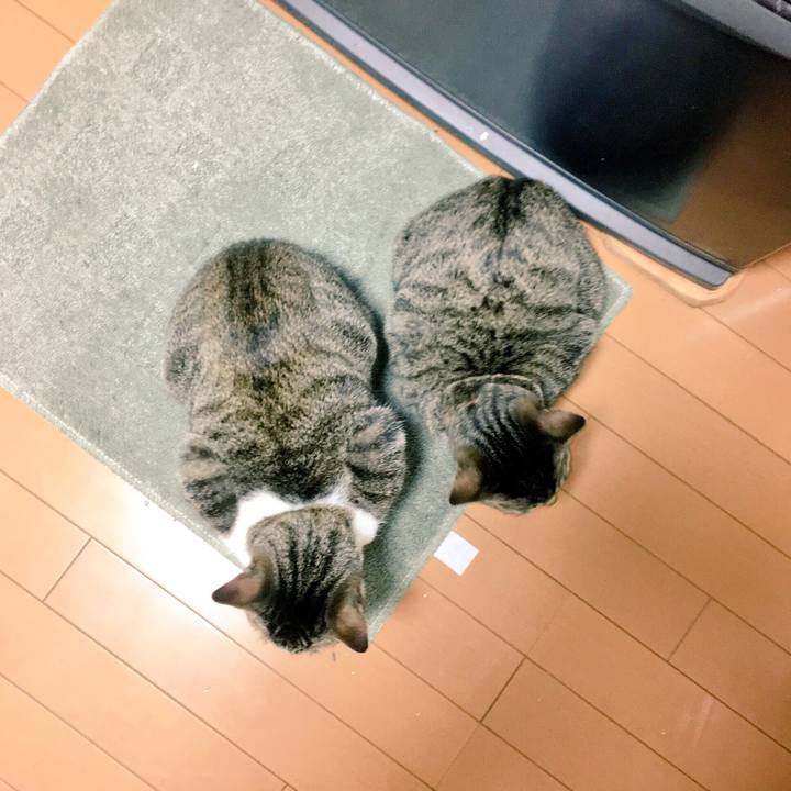 F9f3de83 b25d 421b 82df 17acc95f7697