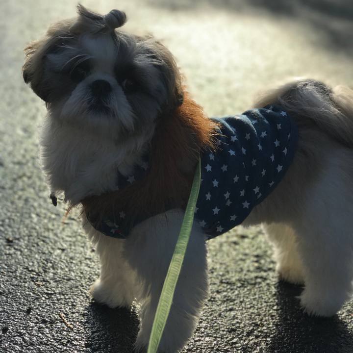 F9f4c406 60fe 413d b4c0 e06a6a2efe15