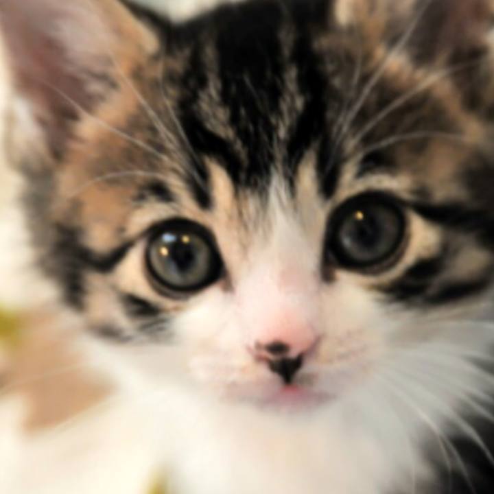 F9f511b3 4d66 411b 8b73 596be3e5fba5