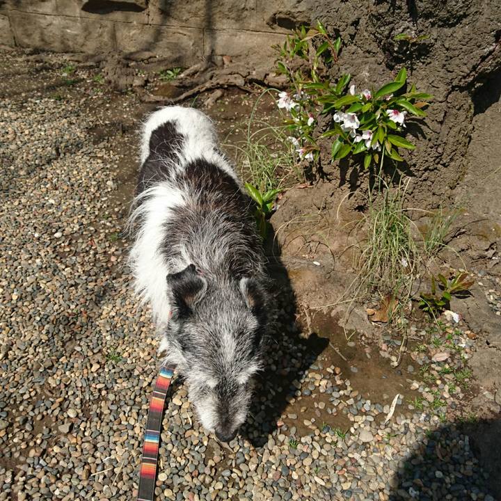 F9f58a29 fbb6 4239 8637 a21d5392aac2