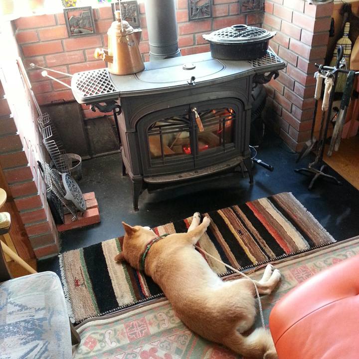 F9f5e7d3 c4c6 40b4 90b3 c30a44b1fbf3