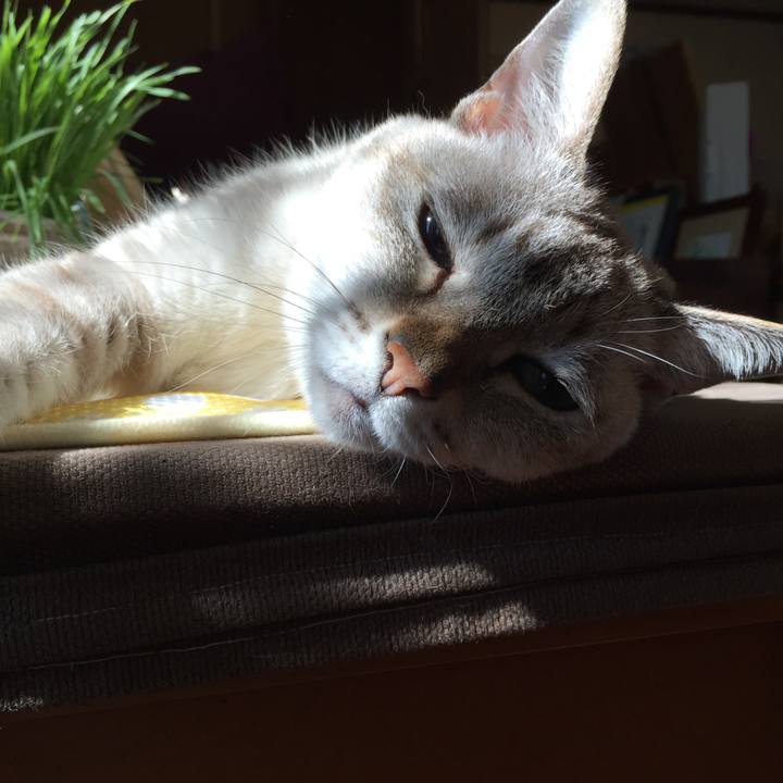 F9f62b20 cc6b 4042 999e f1a826c81c6f