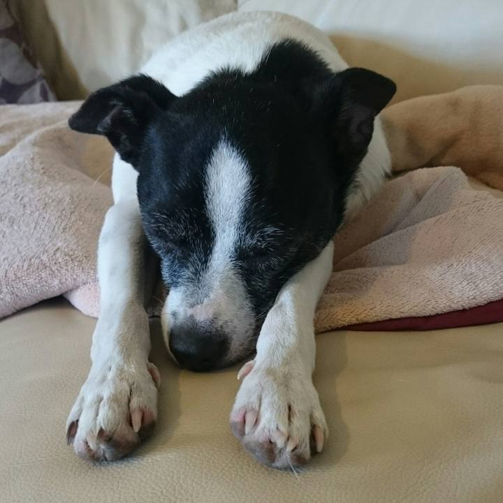 F9f63cb3 d77b 46f2 8e9e bbd53f50bae1