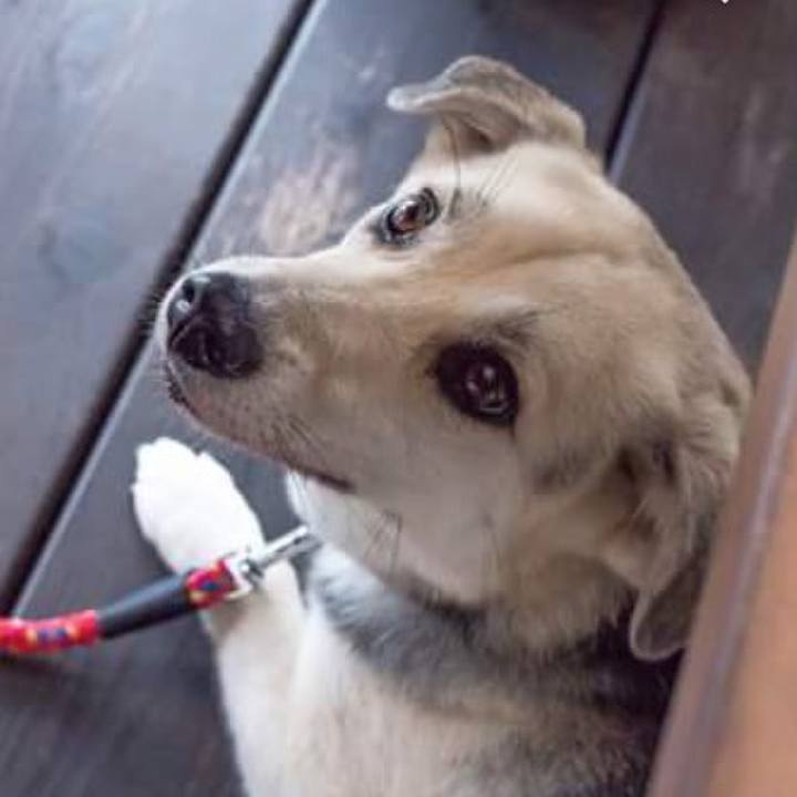 F9f6c64f 522a 4bef 82c8 605ac5a026f6