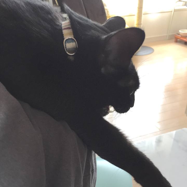 F9f6c7c5 f0e6 4426 aa74 ee43742320fa