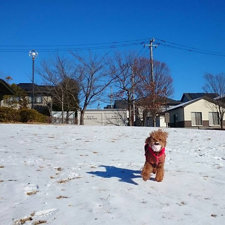 F9f7a7d5 27da 46d0 afec c1db5fddc290