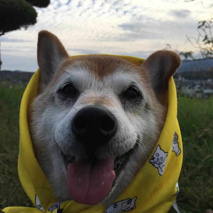 F9f86240 d2d3 4955 b066 aac27561db1a