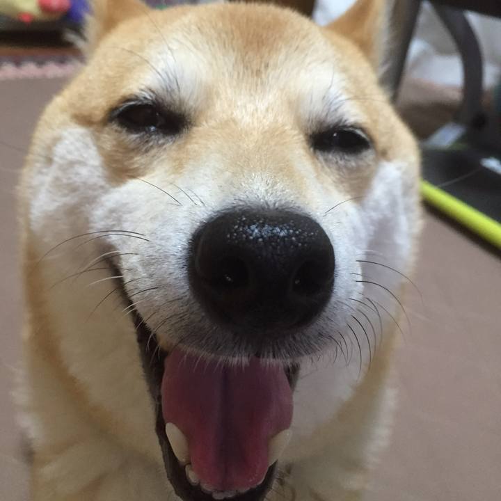 F9f87d14 9f65 461d 9c25 4c8d5ae0a695