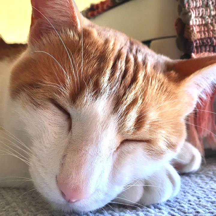 F9f8a3dd f841 43a5 9e74 c09f760a36f8