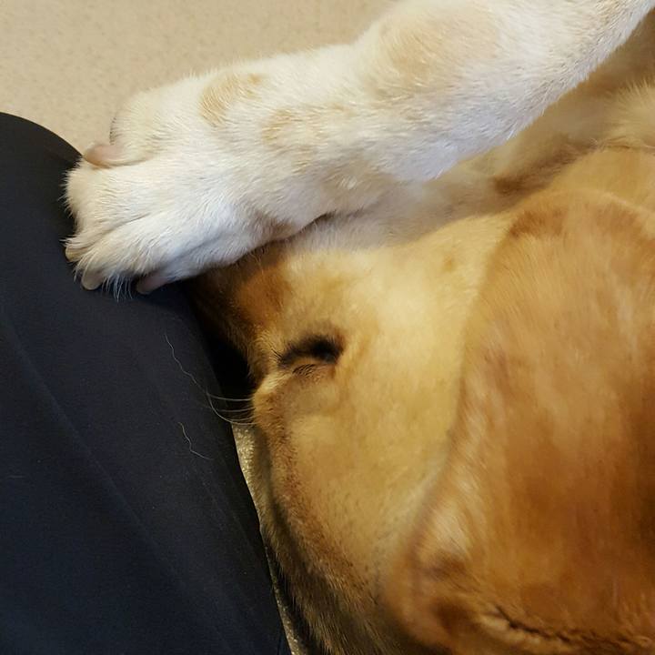 F9f8bcb7 4e93 4e5a 8ded e75b5948fd77