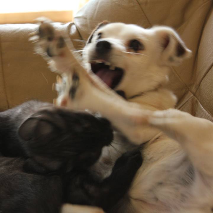 F9f8effd 53a2 4883 8d17 65cade940ab4