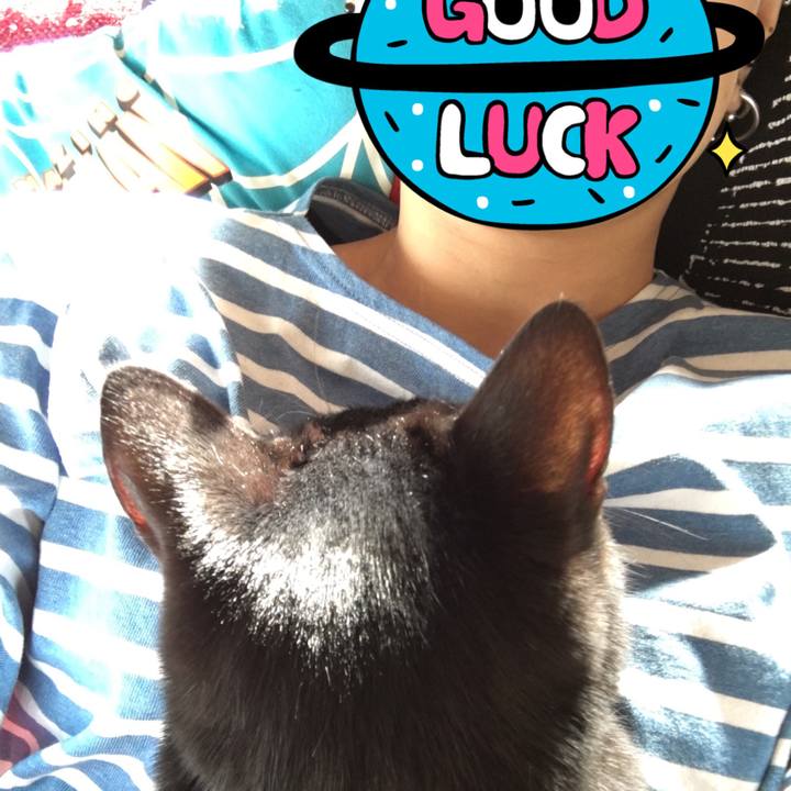 F9f93f9e bbfd 4f57 8bd9 dc961c141607