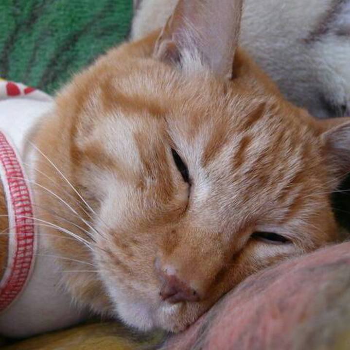 F9f966e0 e835 4bec b8e7 2c56b25aab04