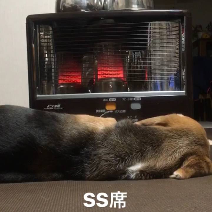 F9f97df3 3faf 41b0 bd1d ecd1094f0cb2