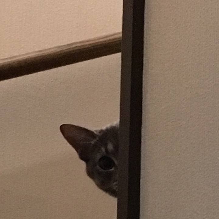 F9fa4c8f 1694 4167 94c2 8b9ea44c62b0