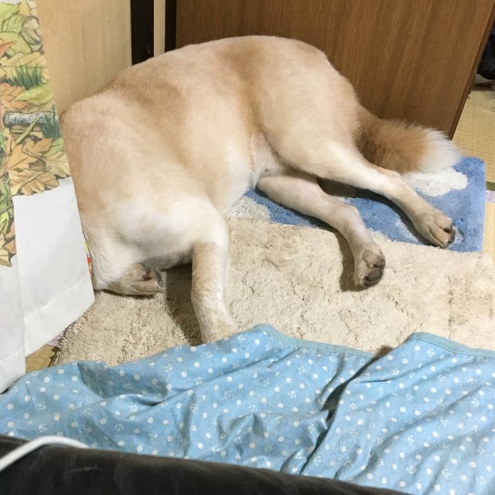 F9fb03b8 c348 4fa5 9e5f ad7cd7544f8f