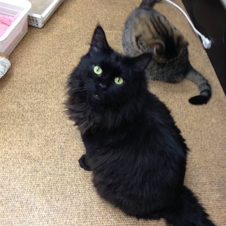 F9fb34c6 3713 40d5 ac45 fff0da178a22