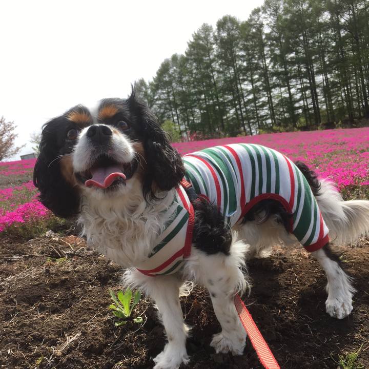 F9fb9596 237e 4574 afd1 52f8f5382b0f