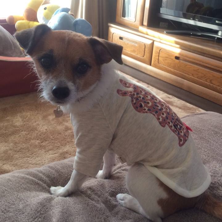 F9fbaf34 a4c9 4c8b 82d0 c038aec85a7e