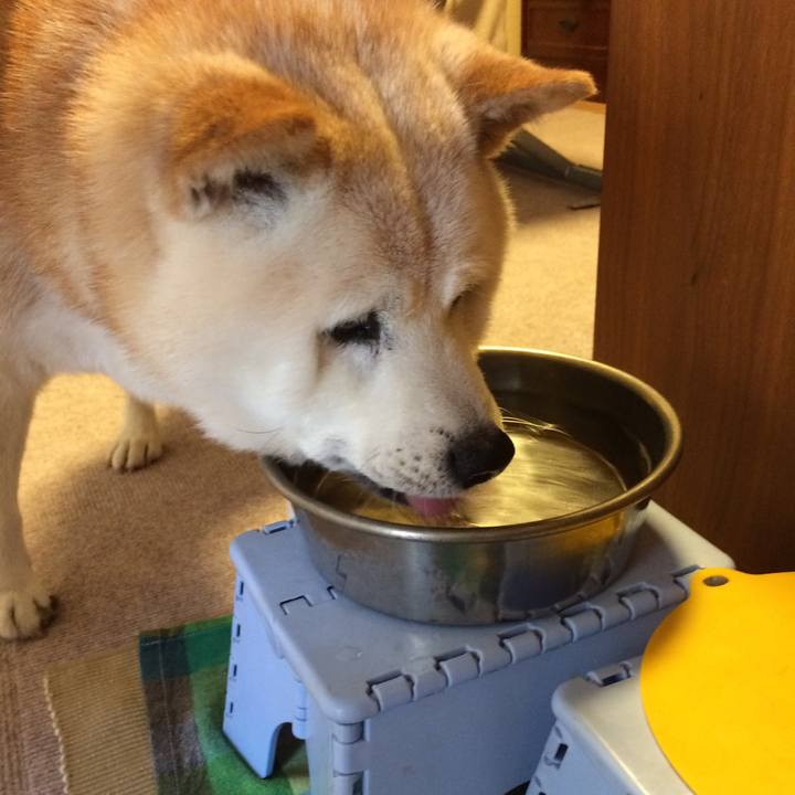 F9fc01a1 2318 4e21 86c1 6b5d00136ce8