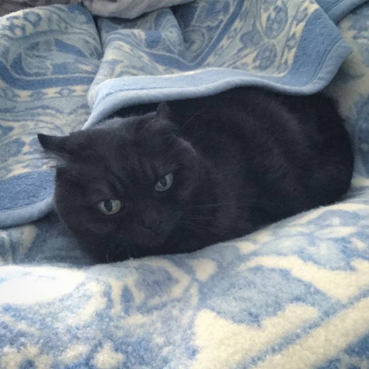 F9fca875 c624 4276 b829 f4a67564abb0