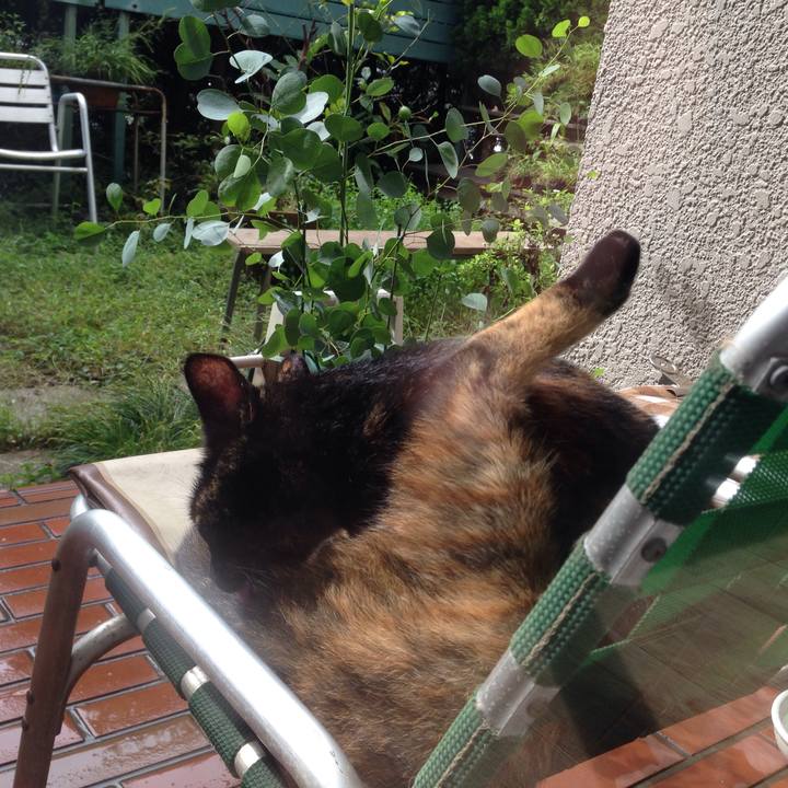 F9fcac7b c7a8 4657 b761 014ff6ece1fa