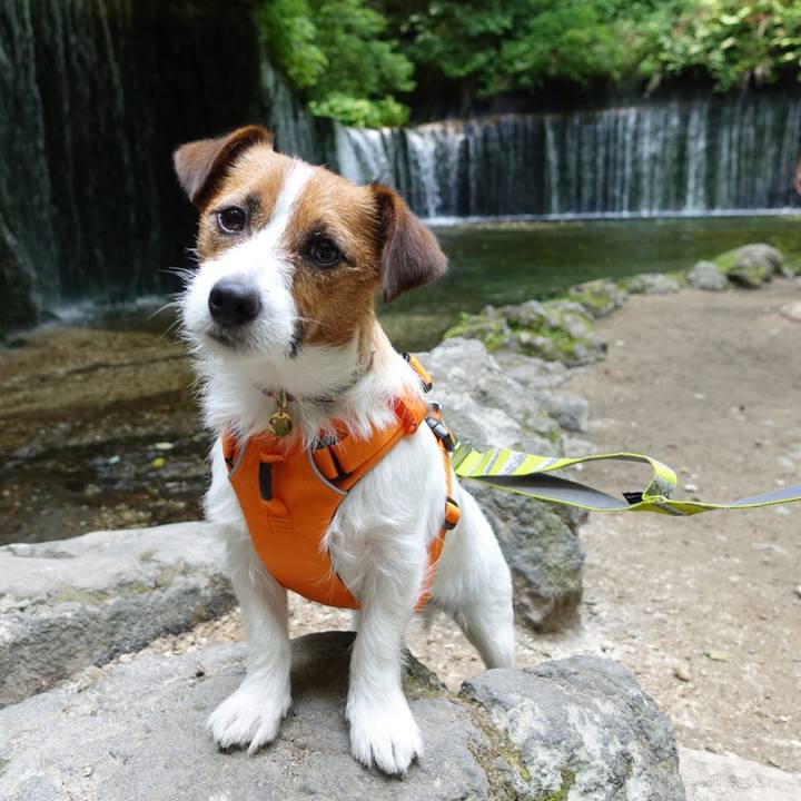 F9fd9799 7898 40e7 81e9 85ef6bf34519