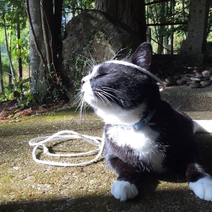 F9fdb5f0 762a 4ad8 9d65 2d3a95d1229a