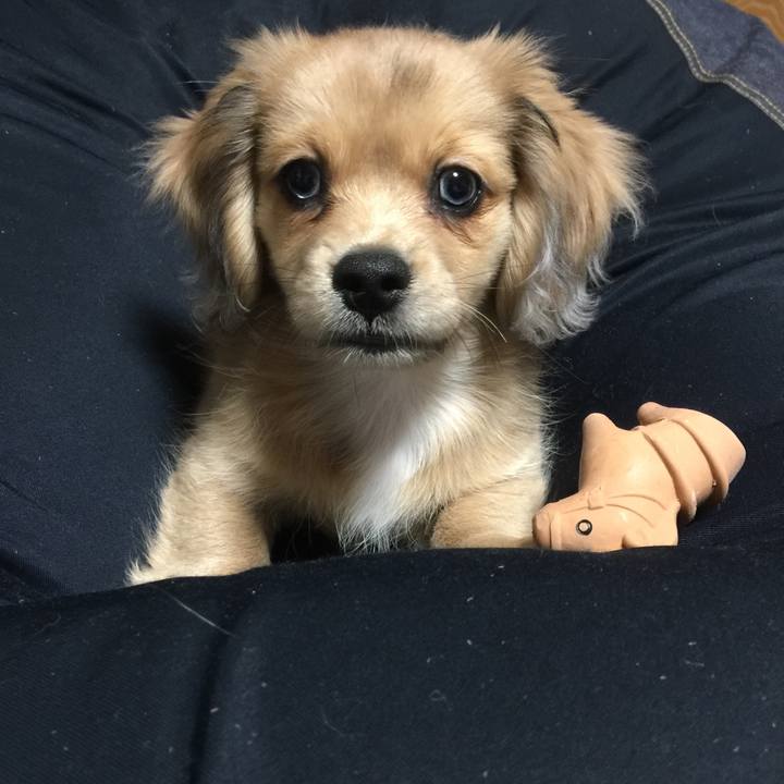 F9fdea82 7da1 4242 9e99 6fd0b4d79198