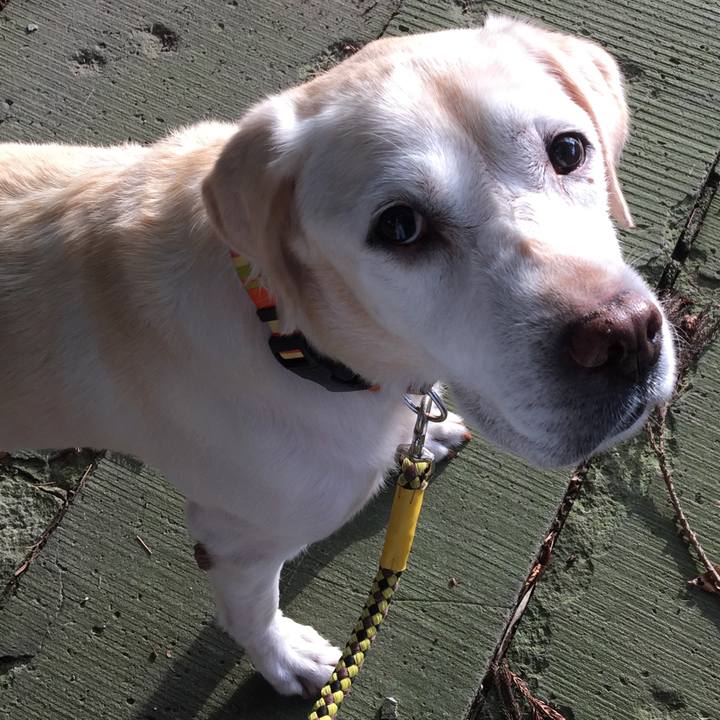 F9fe3525 3acc 4b25 8f1b 42ca609100df