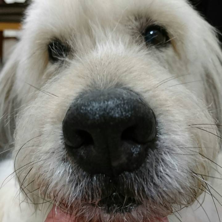 F9fe9f6d dce3 4b1f 9e72 667d406f9315