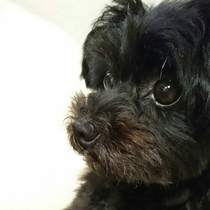 F9fea1d1 c763 4e9c b687 6a03211bf9b8