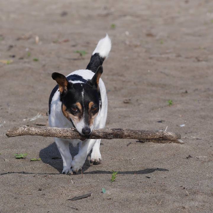 F9ff34b6 4347 4f48 a1bf 86902f513ed4