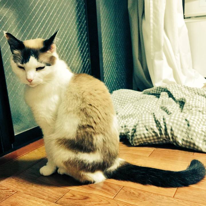 Fa00543b 6144 4f1a a824 744133de2470