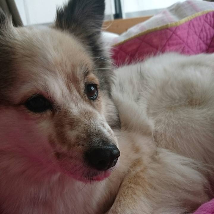 Fa00674f fd4e 453a aad4 64e11d444af2