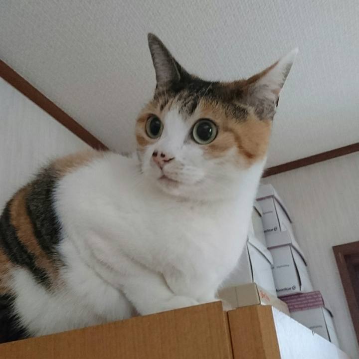 Fa0079fc 8230 4bbe 98fc 67d4156f6bce