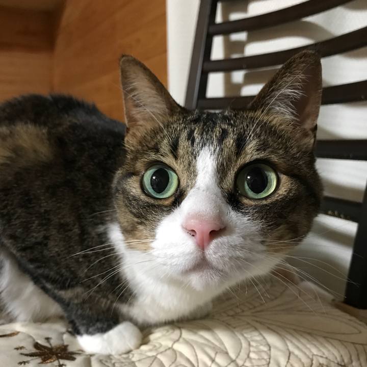 Fa00cb17 487b 4c5b bd57 bfadfc87fdb6