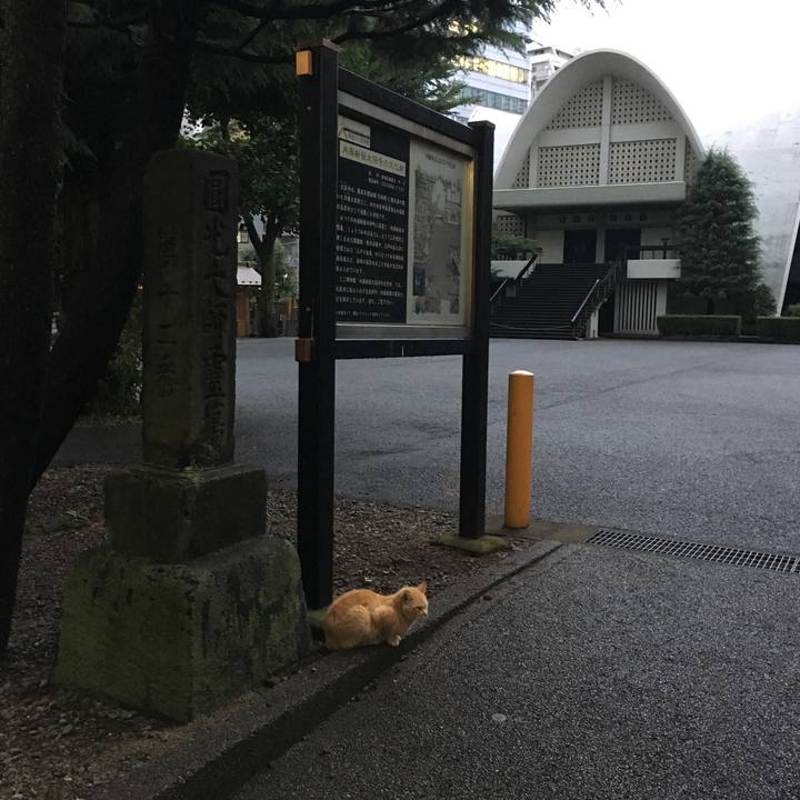 Fa00f4bc 88ed 42f7 8a66 bca1cdac693a