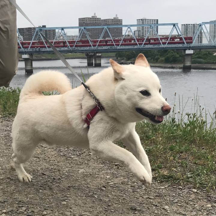 Fa012645 aefe 4a6a 8e12 0d5dba8a4407