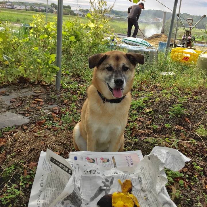 Fa0146d1 3946 4551 80a9 3c6b380f86e7