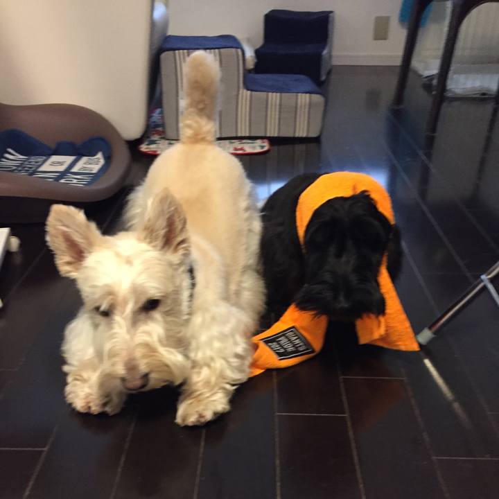 Fa017866 a6b4 4581 bcce 2c4b75446939