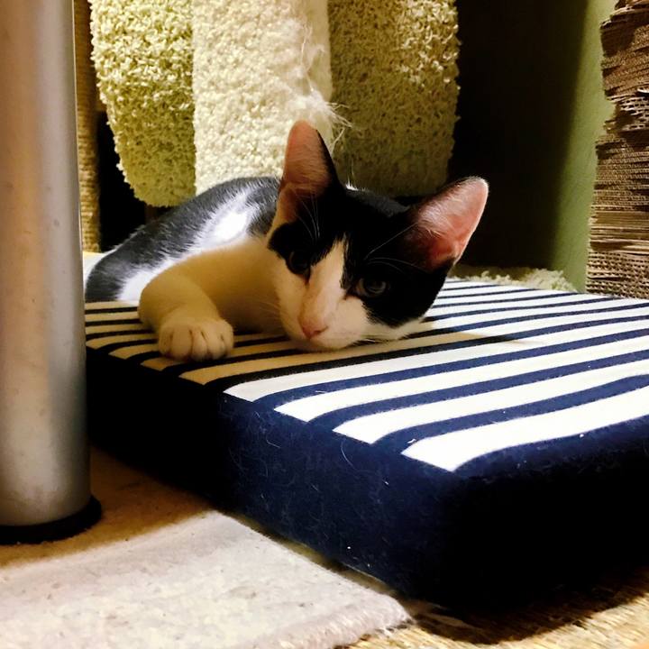 Fa01c26a 3a97 4774 8d7a d4fcce92442e