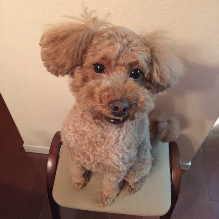 Fa020075 05b9 45cf a190 8b53ec4a04f5