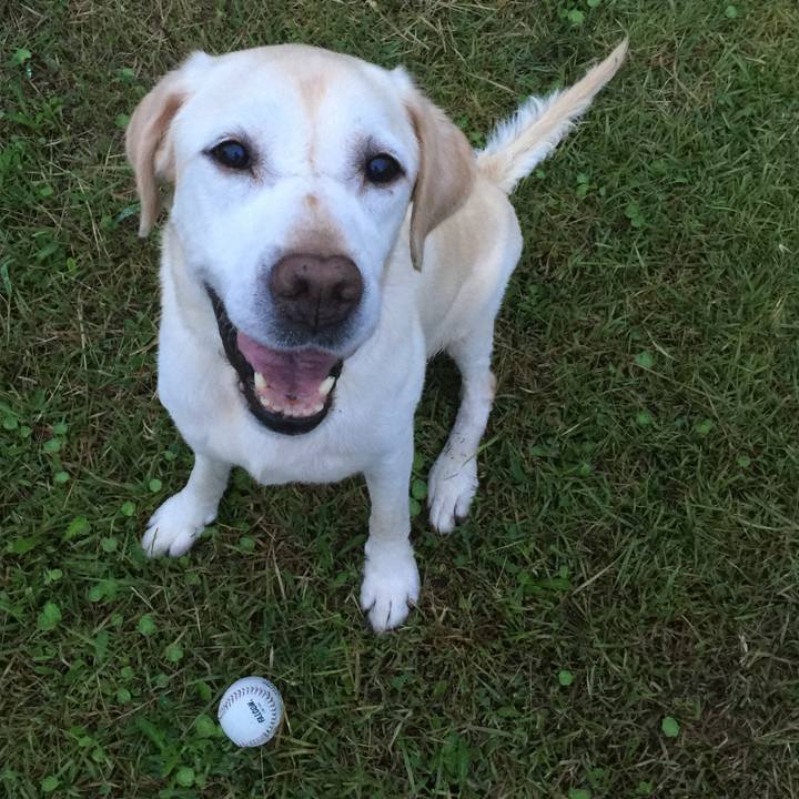 Fa025a95 145a 4627 9c6c 16b976b7078f