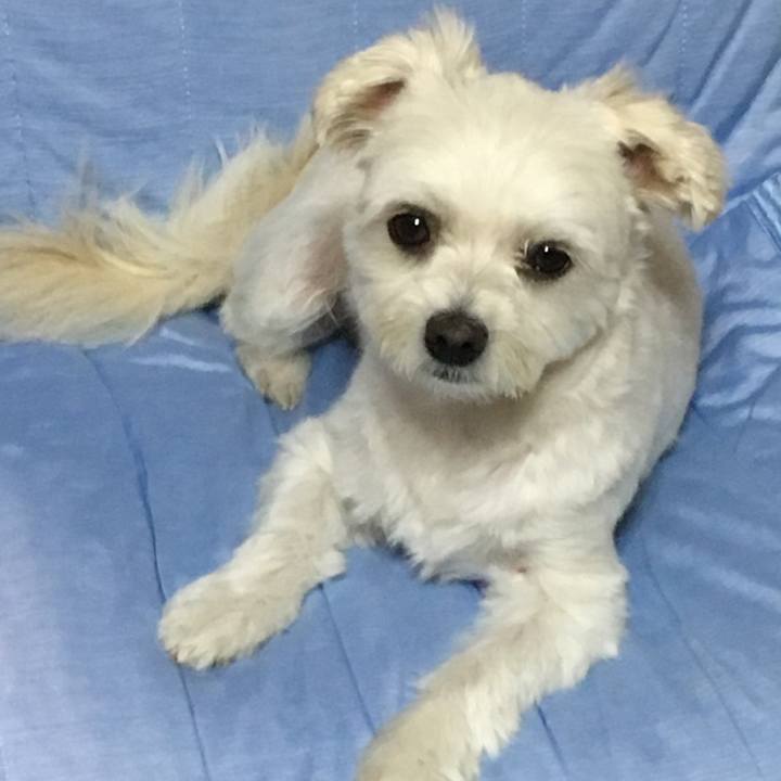 Fa027a21 4cdd 47e3 bfb2 ae5a0831524b