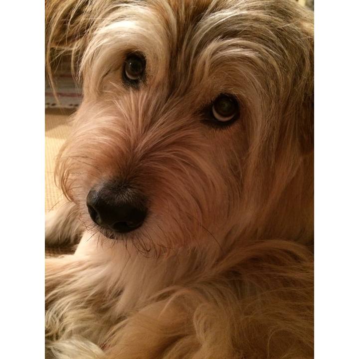 Fa02b67d c92e 4f65 8403 0a7e7eb824b0