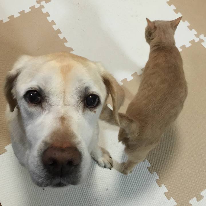 Fa02ed2a 18d1 4584 b38e 6a336b82d95e