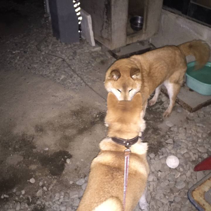 Fa03328a 3f22 406b 9a1b a21c378f8434