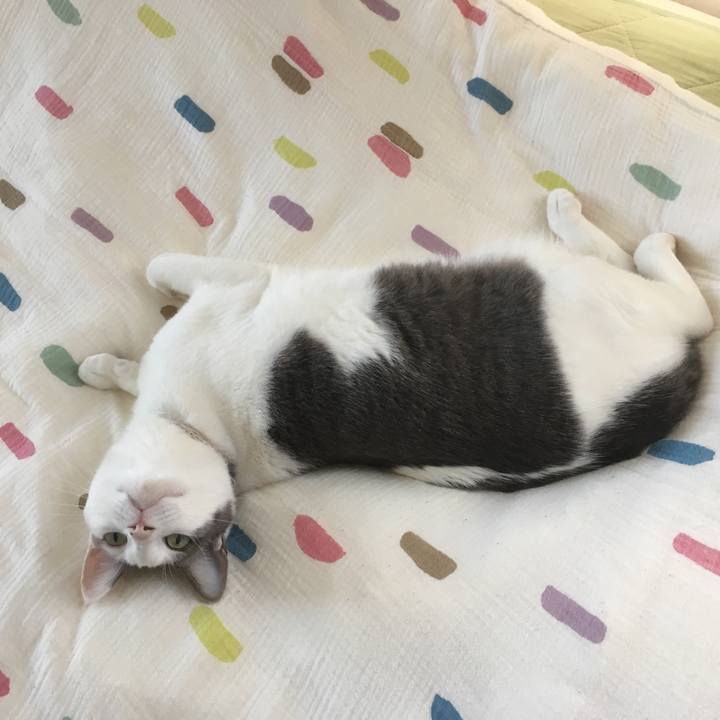 Fa037d06 aad9 4c59 9ad5 75d41ea36652