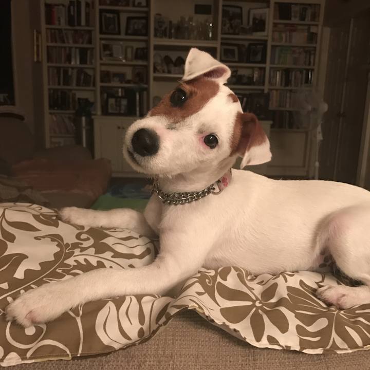 Fa03c4f6 9ab5 4d01 9704 ece04af003c3